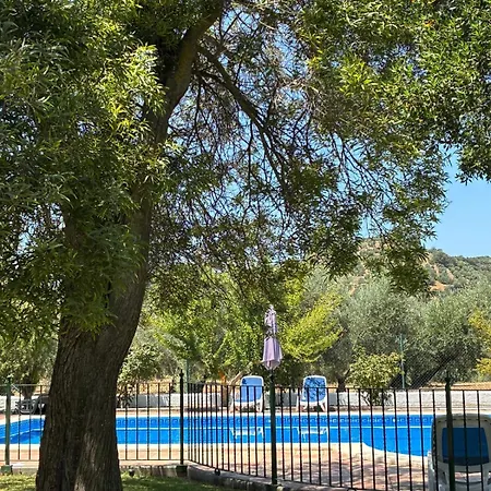 Casa De La Higuera Priego de Córdoba